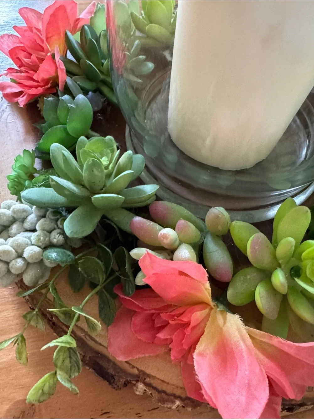 N/A beautiful succulent